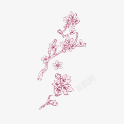 高清精美花瓣卡通手绘粉色腊梅矢量图高清图片