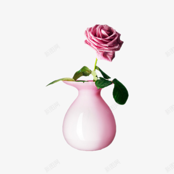 一枝粉红玫瑰花瓶png免抠素材_新图网 https://ixintu.com 一枝花 玫瑰 粉色花朵 粉色花瓶