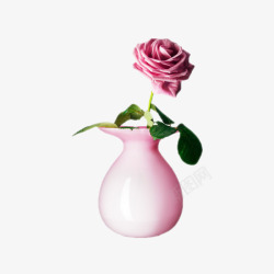 一枝粉红玫瑰花瓶素材