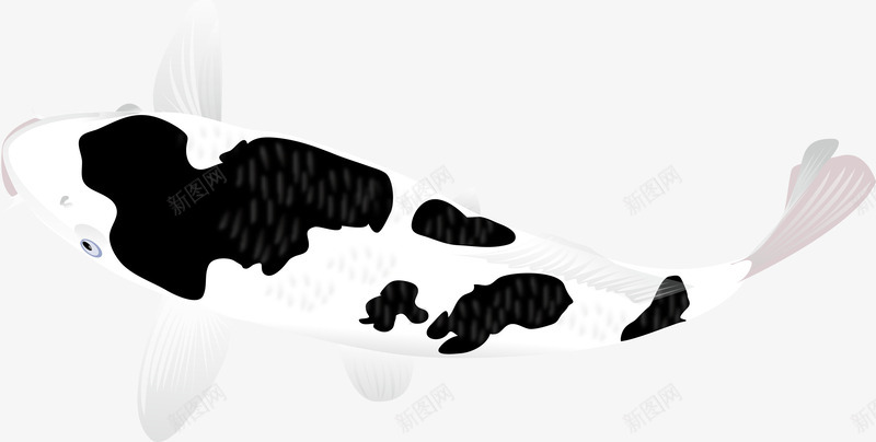 黑白色鲤鱼图png免抠素材_新图网 https://ixintu.com 创意 卡通 可爱 手绘 日本锦鲤 海洋 海洋生物 海鲜 矢量动物 立体 锦鲤 鱼 鲤鱼