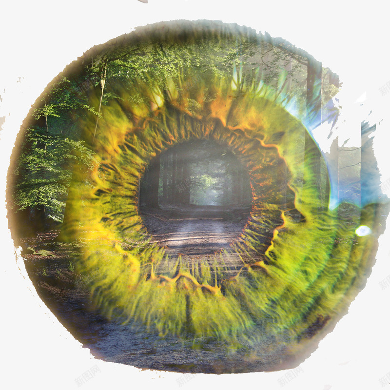 彩绘眼睛图案png免抠素材_新图网 https://ixintu.com 抽象插图 植物 眼球 绿色树木 绿色眼睛