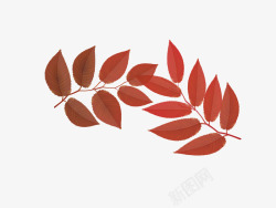 落叶红于丰收的季节素材