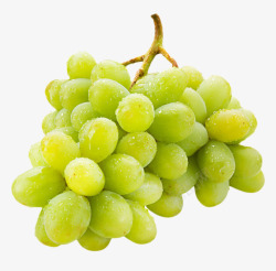 带水葡萄绿色带水珠的葡萄实物高清图片