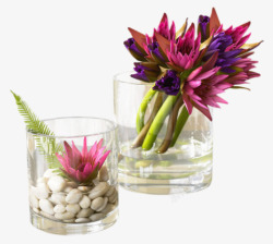 养花养花透明玻璃杯子高清图片