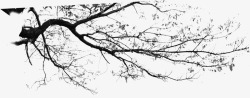 地产行业素材装饰梅花树枝高清图片