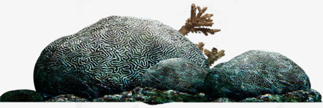 礁石创意石头美景png免抠素材_新图网 https://ixintu.com 创意 石头 礁石 美景