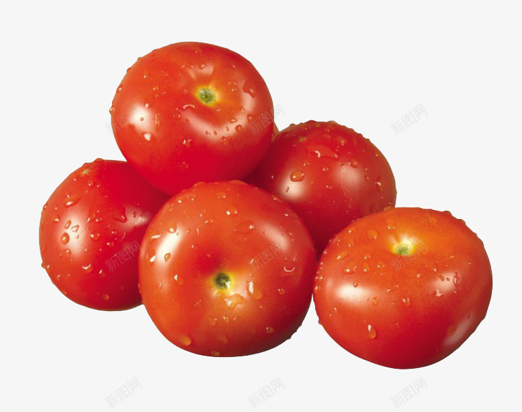 新鲜的洋柿子png免抠素材_新图网 https://ixintu.com 新鲜 新鲜的蔬菜 新鲜的西红柿 新鲜的食材 水珠 洋柿子 番茄 蔬菜 西红柿