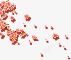 春节美丽梅花装饰素材