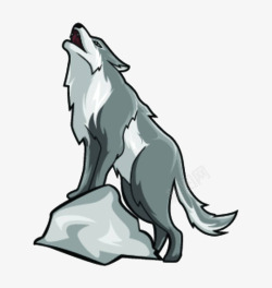 北极狼站在石头上嚎叫的大灰狼高清图片