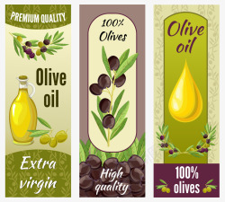 食用油橄榄油广告背景矢量图高清图片