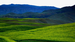 新疆喀拉峻草原二素材