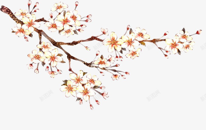 树枝梅花装饰png免抠素材_新图网 https://ixintu.com 免抠树枝 开花的树 树枝 梅花装饰 粉色的花朵