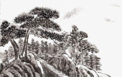黑色松树松树和石头高清图片