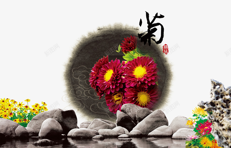 古风菊花背景png免抠素材_新图网 https://ixintu.com 中国风素材 石头 背景素材 花卉素材 菊花素材