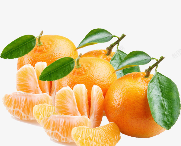 橘子png免抠素材_新图网 https://ixintu.com 橘子 橘子叶 橘子瓣 食物