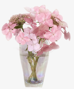 花朵花瓶粉红花朵装饰素材