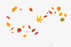 秋季落叶植物素材