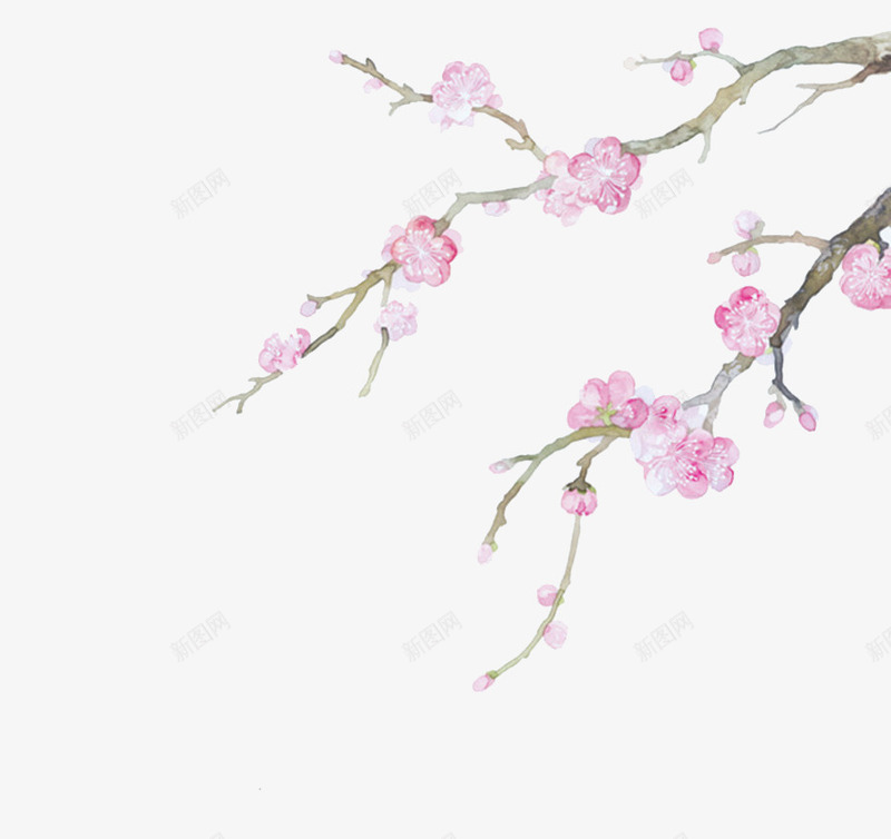 中国风梅花png免抠素材_新图网 https://ixintu.com 中国风 古风 枝头 梅花 花朵