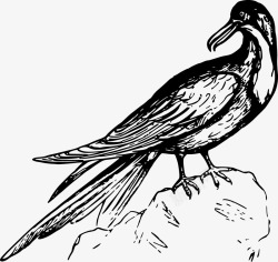 高原上的岩石岩石上的鸟黑白矢量图高清图片