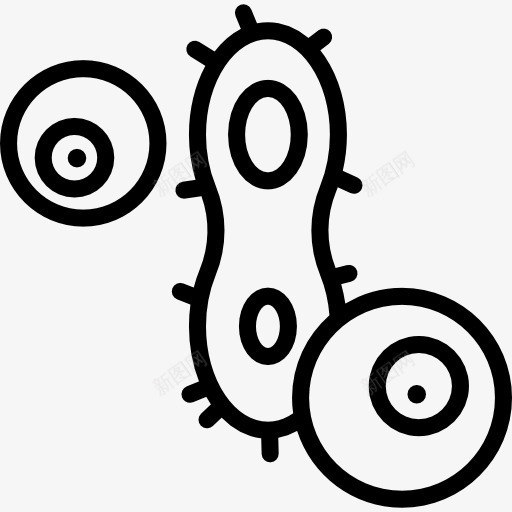 细胞图标png_新图网 https://ixintu.com 微生物学科 教育 生物教育 科学