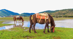 香格里拉风景素材