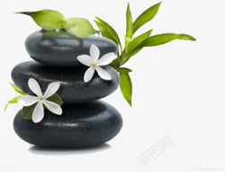 黑色石头花朵绿叶素材