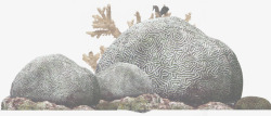 摄影海底石头摄影图素材