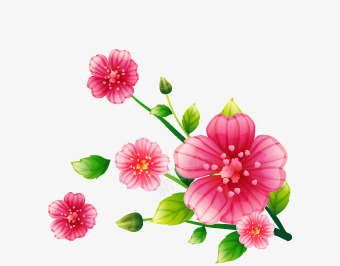 卡通花卉png免抠素材_新图网 https://ixintu.com 梅花 植物 粉色花朵 绿叶