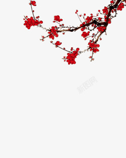 新春气息卡通手绘美丽的梅花高清图片