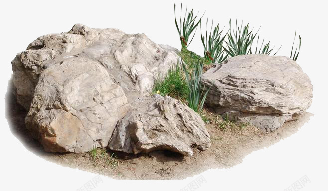 地面上的石头png免抠素材_新图网 https://ixintu.com 地面 石块 石头 绿色植物