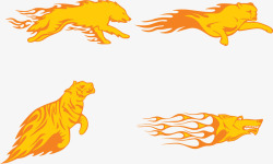 火焰老虎狮子豹子动物特效素材
