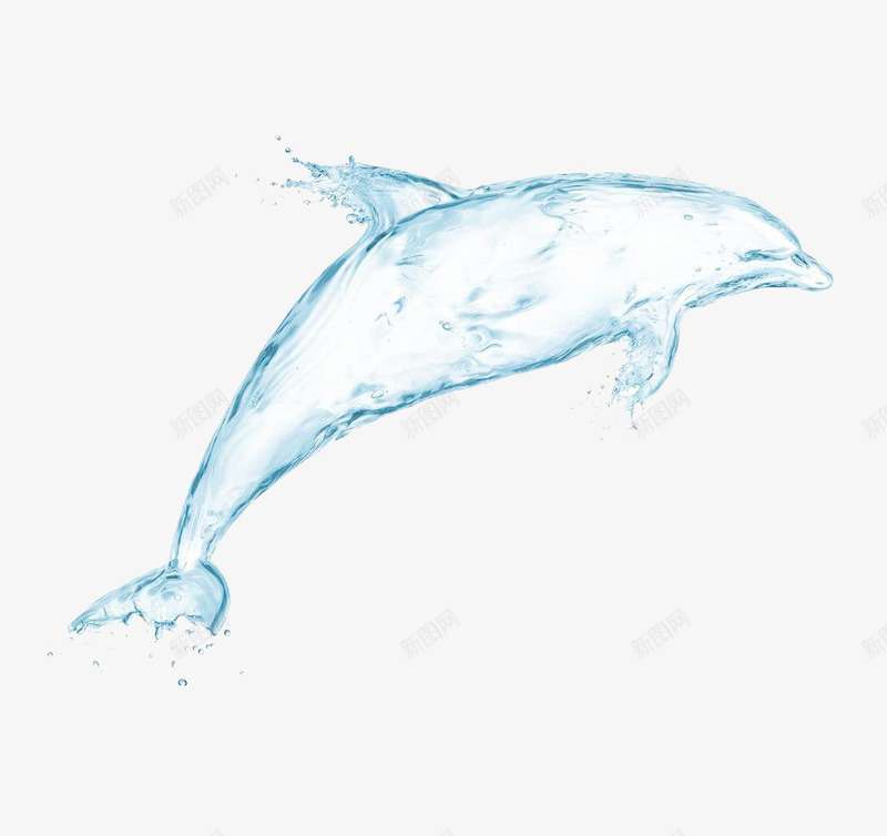 白色鲸鱼png免抠素材_新图网 https://ixintu.com 水滴 白色 素描鲸鱼 蓝色 飞天鲸鱼 鲸鱼