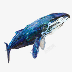手绘一只蓝色线条座头鲸插画素材