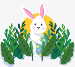 害羞兔子复活节草丛里的兔子高清图片