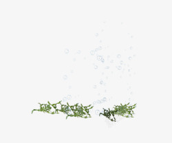 绿色植物透明水滴素材