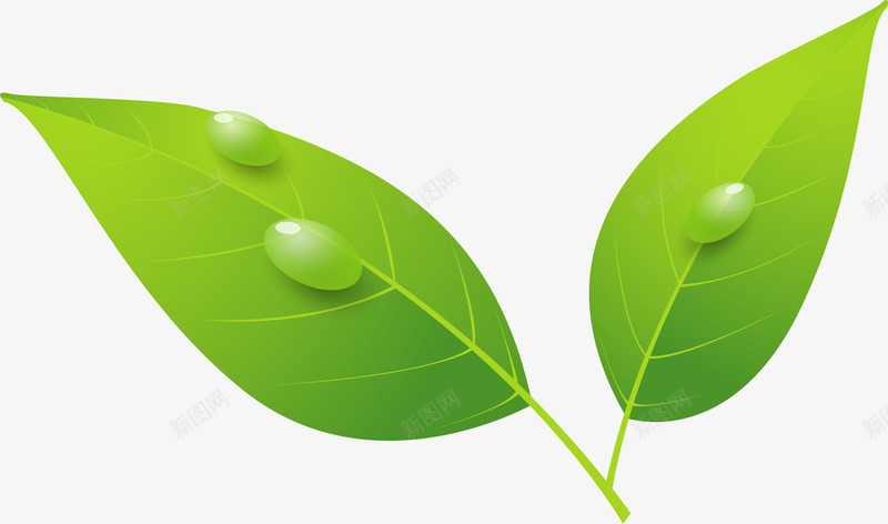 绿色卡通树叶png免抠素材_新图网 https://ixintu.com 免抠PNG 卡通 叶子 嫩芽 树叶 植物 水滴 绿色 装饰图案