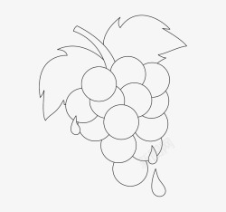 简单的水滴素材水滴可爱葡萄简笔画图标高清图片