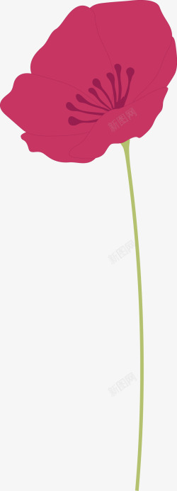 紫荆花卉表彰红花劳动红花矢量图高清图片