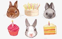 蛋糕新年图片素材动物兔子高清图片