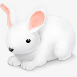 bunny兔子复活节复活节蛋兔复活节林高清图片