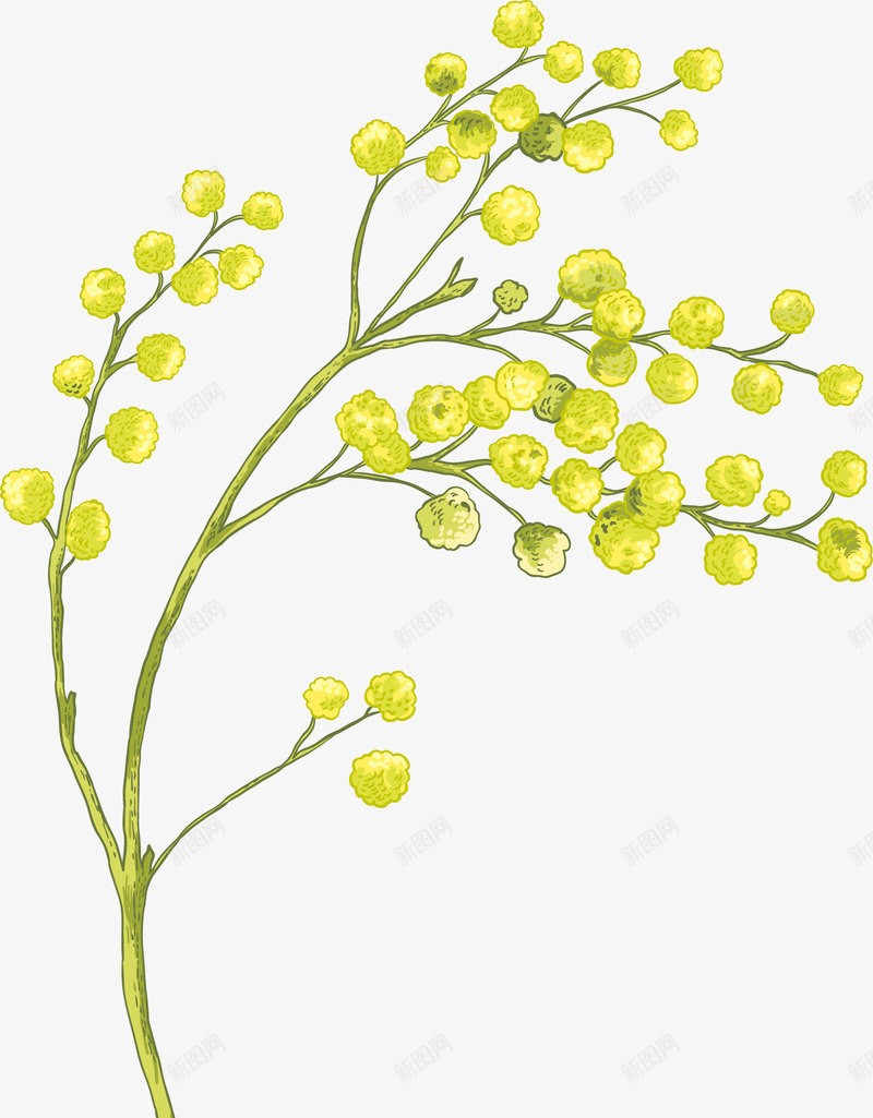 手绘黄色花朵png免抠素材_新图网 https://ixintu.com 唯美 手绘 枝条 水彩 简约 花朵 花苞 黄色