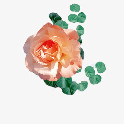 玫瑰花粉红花朵漂浮素材
