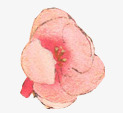 彩绘粉红色桃花素材