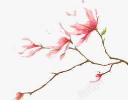 花枝漂浮png免抠素材_新图网 https://ixintu.com 简约美观 粉红 花枝插画素材