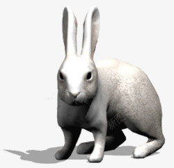网页兔子素材卡通3D兔子高清图片