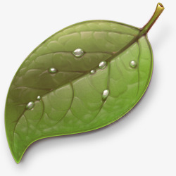 墨绿色叶子水珠素材