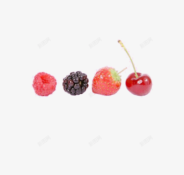 四种水果png免抠素材_新图网 https://ixintu.com 桑葚 樱桃 粉红色紫色 草莓