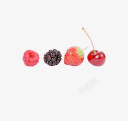 四种水果素材