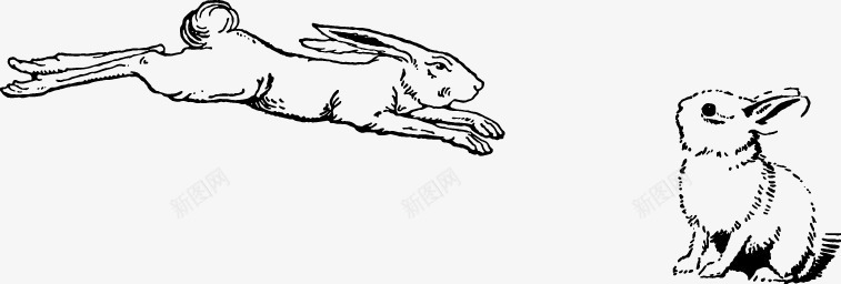 素描两只兔子png免抠素材_新图网 https://ixintu.com a 兔子 兔子png 兔子png素材 兔子免抠素材 卡通兔子 奔跑 小白兔手绘 小白兔手绘素材 手绘 活跃 矢量兔子 跳跃