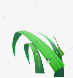 手绘绿色树叶水珠包装素材